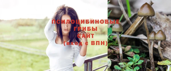 экстази Баксан