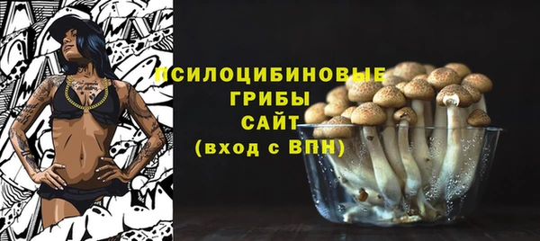 2c-b Балахна